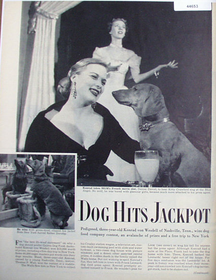 Pedigreed Dog Wins Food Company Contest 1950 Article.