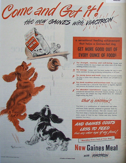 Gaines Meal With Viactron 1948 Ad