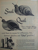 Ethyl Corporation Antiknock Compound 1950 Ad