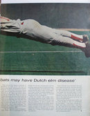 Doug Rader Houston Astros 1972 Article