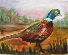 Pheasant painted on cavas board