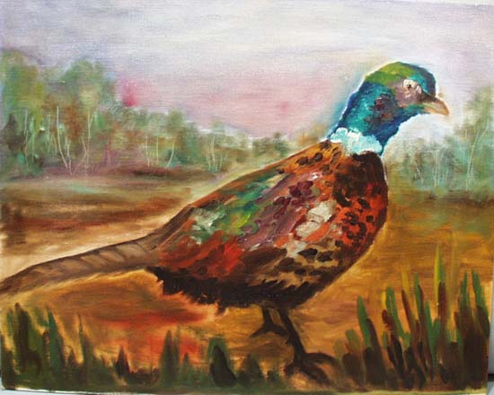Pheasant painted on cavas board