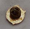 Texas Lions pin, Features the state of Texas