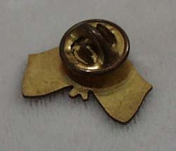 Canada / USA flag pin, great look