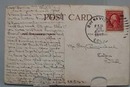 Five Kittens Quiet Place Postcard.