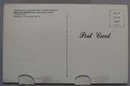 Phenomena Leaning Echo Postcard