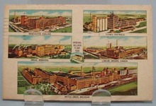 Kellogg Company Plants Postcard