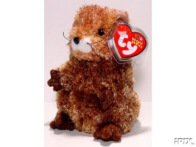PUNXSUTAWN-e PHIL Ty Beanie Baby Groundhog Day 2002-2003~1st Punxsutawney