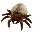 HAIRY the Spider Ty Beanie Baby