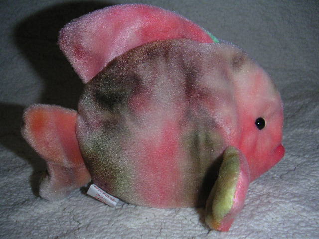 Authentic Ty CORAL Beanie Baby Fish MINT