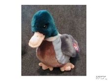 JAKE Ty Beanie Buddy Mallard DUCK