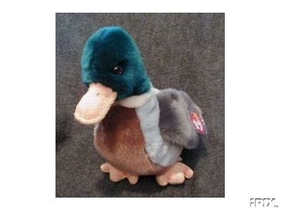 JAKE Ty Beanie Buddy Mallard DUCK