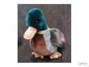 JAKE Ty Beanie Buddy Mallard DUCK