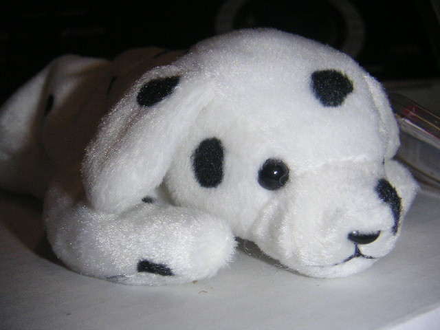 Ty SPARKY Beanie Dalmatian w/Dotty Tush Tag ODDITY~ Rare Error~Mint