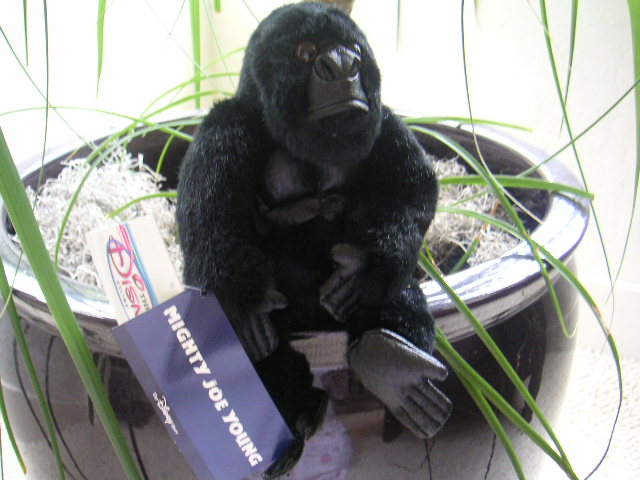 MIGHTY Joe Young 8