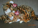 Ty INDIA Beanie Buddy & Beanie Baby Tigers
