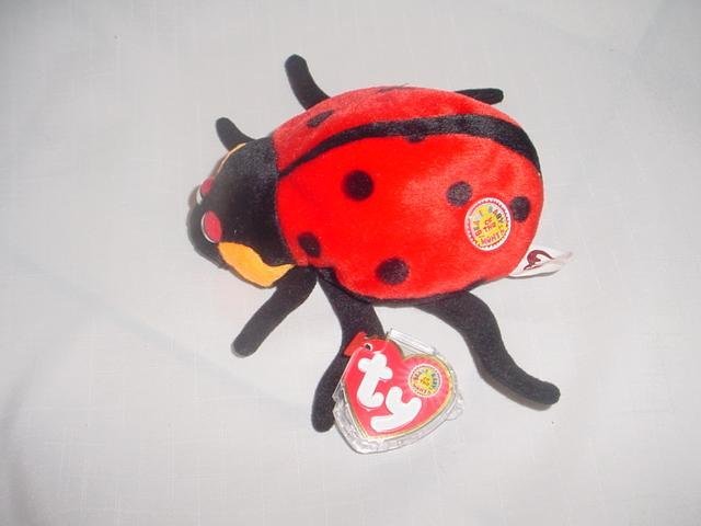 Ty COUNTESS the LADYBUG~ Beanie Baby of the Month~ Lady Bug