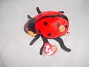 Ty COUNTESS the LADYBUG~ Beanie Baby of the Month~ Lady Bug