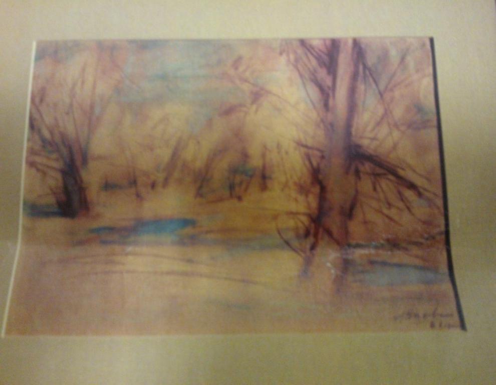 Spring Landscape