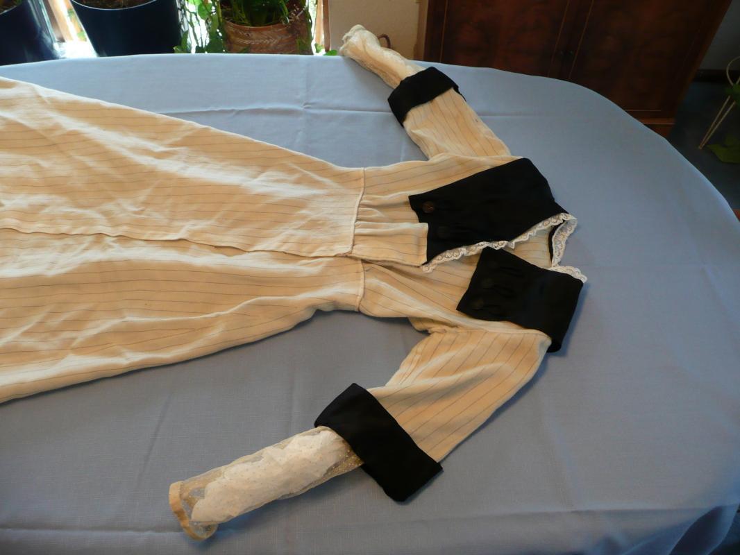 Early 1900's Dress