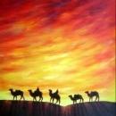 Camel Caravan in Sunset