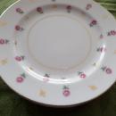 Noritake China Rosalie