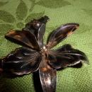 Gold tone with black brooch