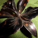 Gold tone with black brooch