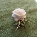 White rose brooch