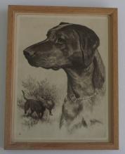 1956 print by R.H. Palenske BLACK LABRADOR