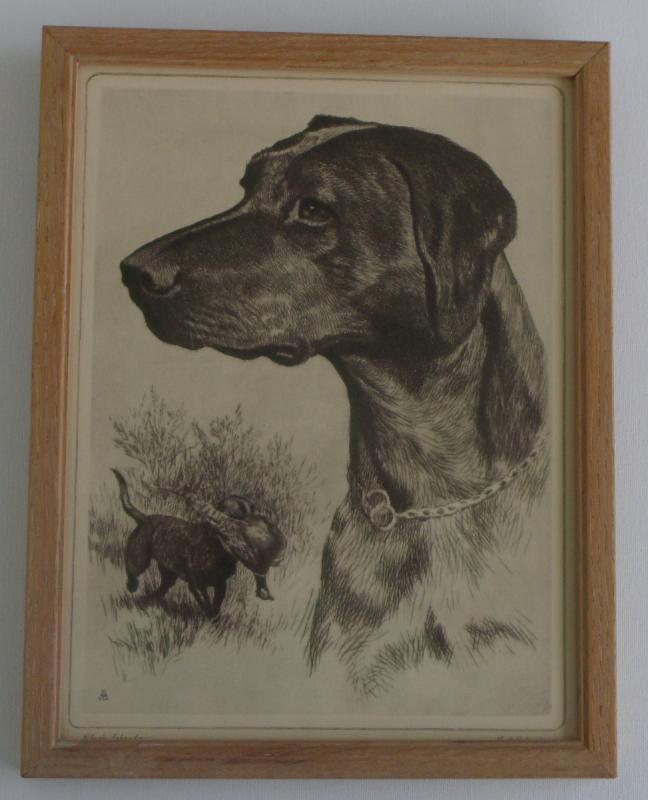 1956 print by R.H. Palenske BLACK LABRADOR