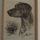 1956 print by R.H. Palenske BLACK LABRADOR