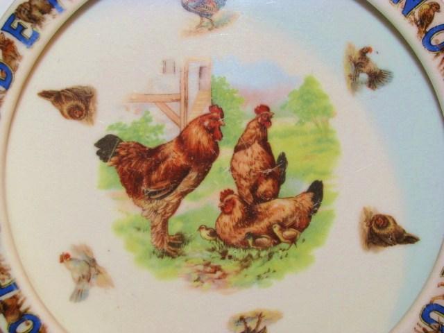 ABC Germany Alphabet Rooster & Hens Childs Bowl