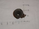 mini-civil war bugle
