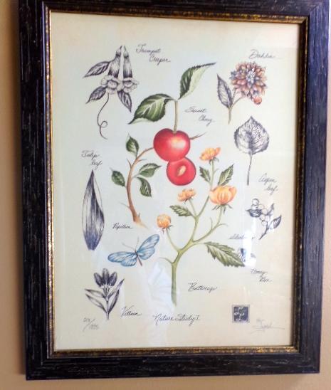 Nature Study I