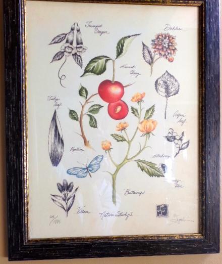 Nature Study I