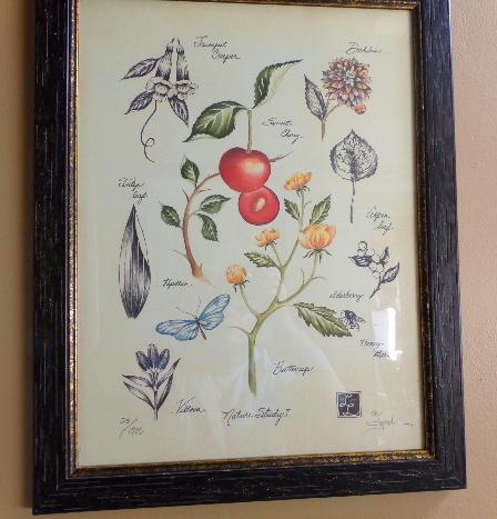 Nature Study I