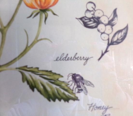 Nature Study I