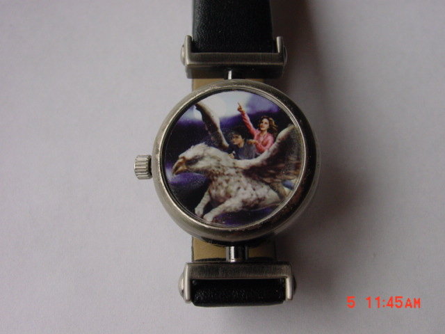 Extremely Rare - Harry Potter,