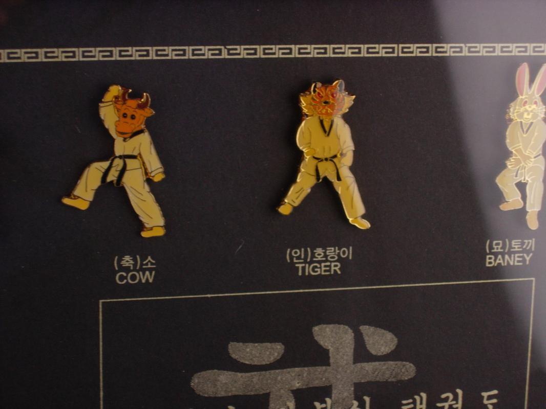 Karate Stick pin set - Framed Taekwondo chinese horoscope - fighting competition - martial arts gift - framed karate pin set -