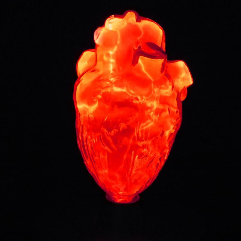 Vintage Light Up glass Heart lamp - science model - Anatomical Medical art - 10