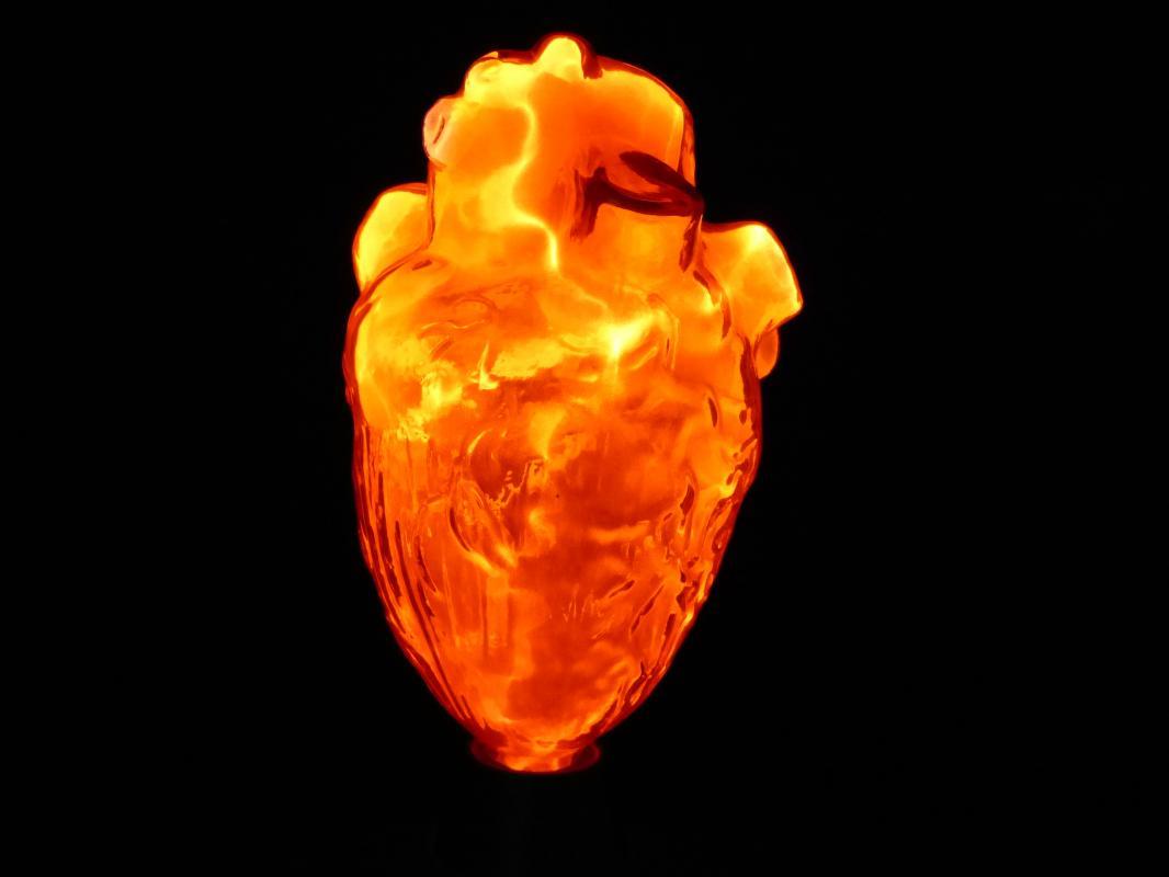 Vintage Light Up glass Heart lamp - science model - Anatomical Medical art - 10