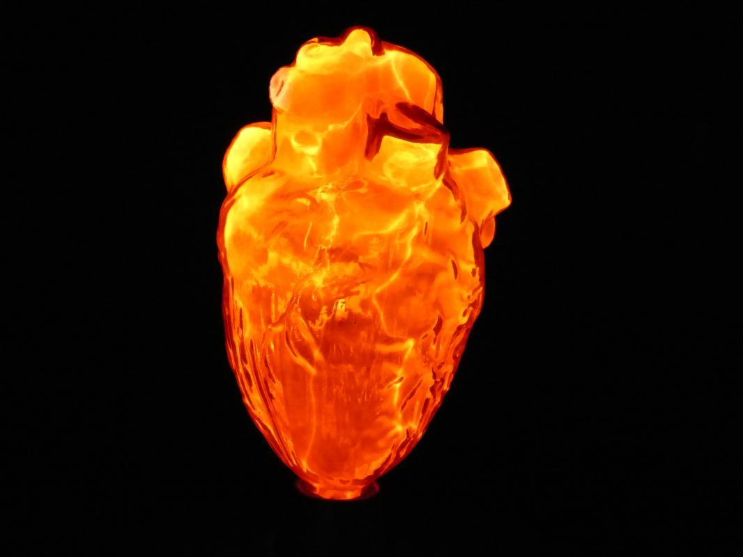 Vintage Light Up glass Heart lamp - science model - Anatomical Medical art - 10