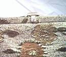 Purse/Lewis W/A Crown/Gold & Copper Tapestry