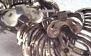 Shoes Clips/Large Marked Musi