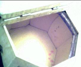 Purse/Wood/8 Sided