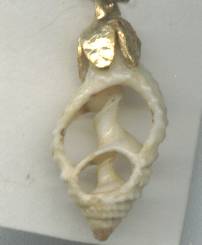 Charm/Sea Shell/Sliced