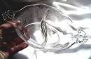 Glass/Sm. Etched Divided Bowl/Clear
