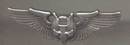 Militaria/Air Force Aircraft Crewman Personnel