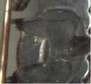 Militaria/Air Force Aircraft Crewman Personnel